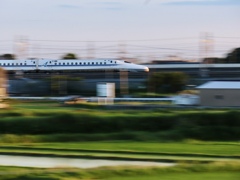 IMG_2469
