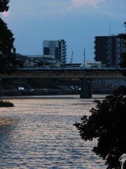 橋