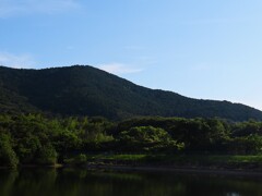 山