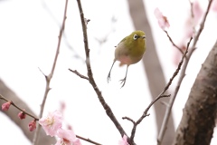 よいしょーー！