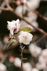 眼差しの先に