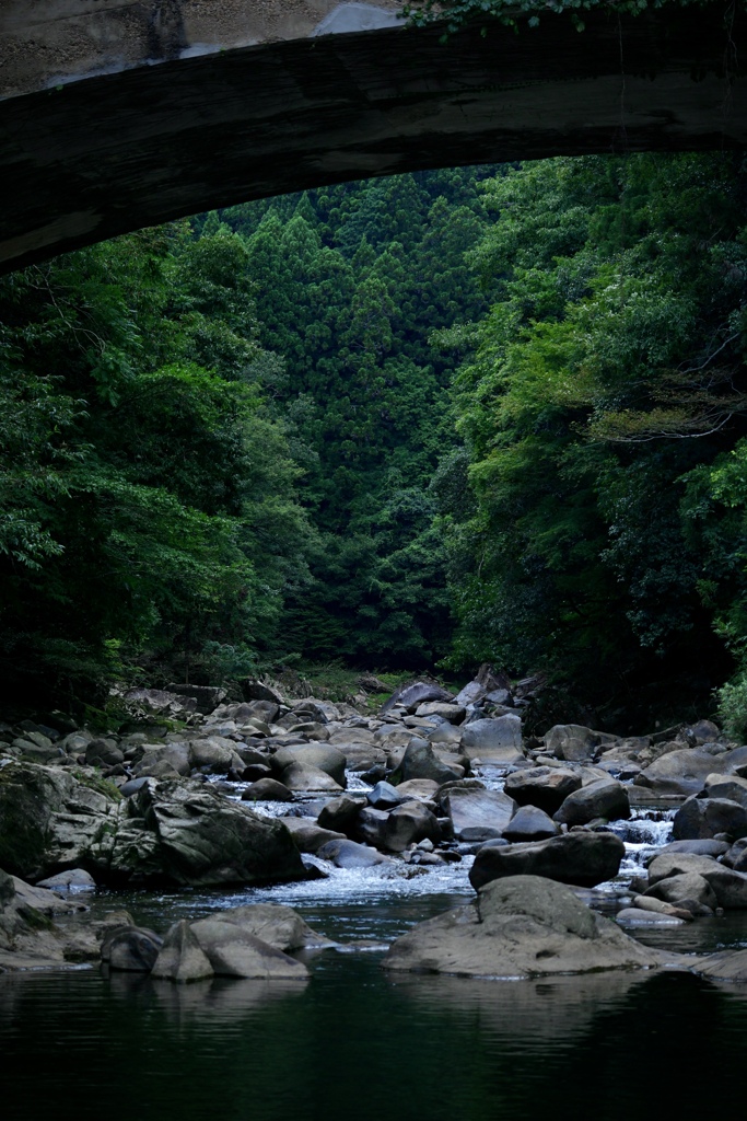 金座淵の水面から