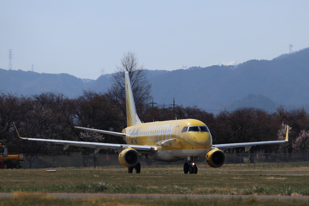 飛行機