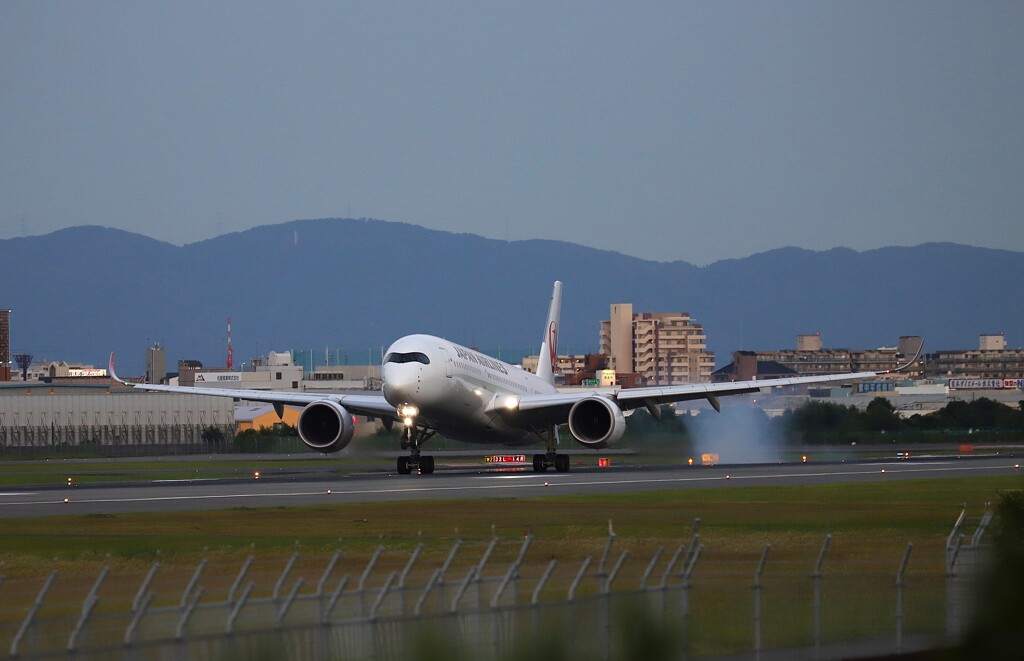 飛行機