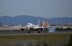 飛行機