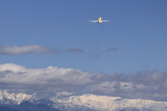 飛行機