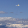 飛行機