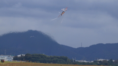 航空祭