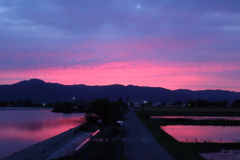 夕景