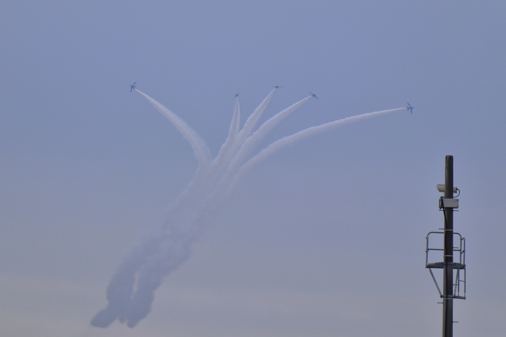 飛行機