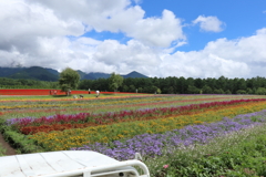 高原
