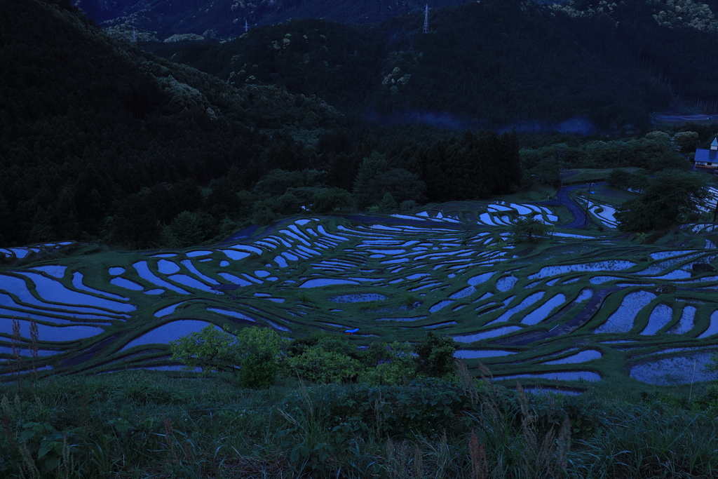 風景