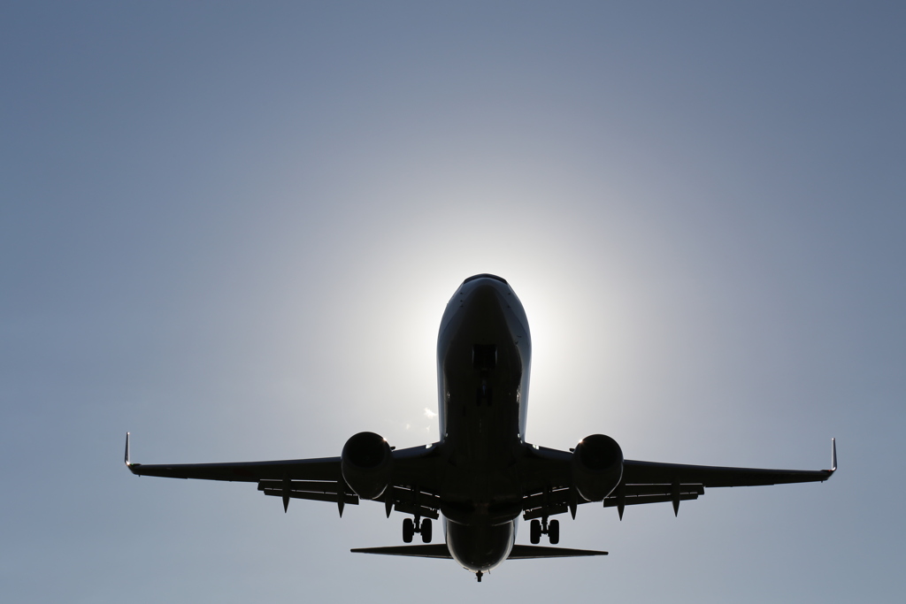 飛行機
