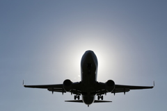 飛行機