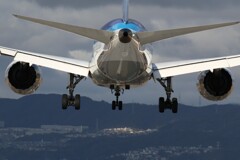 飛行機