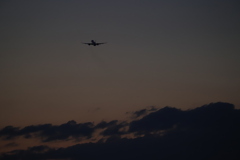 飛行機