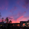 夕景