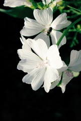 6月29日