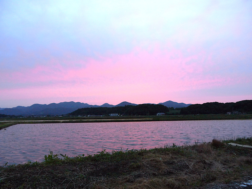 水田の夕焼け