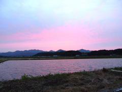 水田の夕焼け
