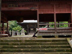 P1000248