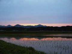 通勤路で寄り道