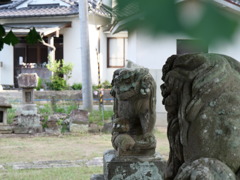 散歩