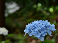 P1000256
