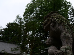 P1000250