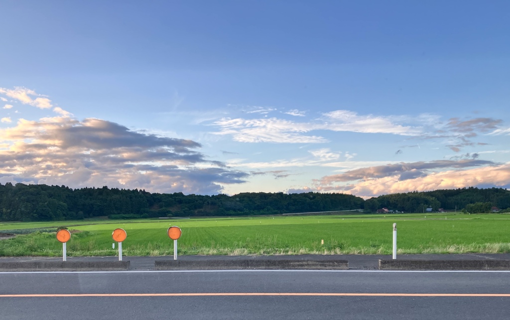 帰り道　IMG_6636