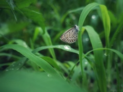 一休み