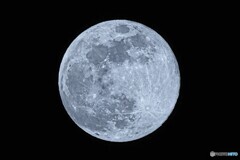 狼月（ウルフムーン）