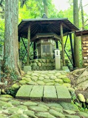 100_0019 (1) (1)