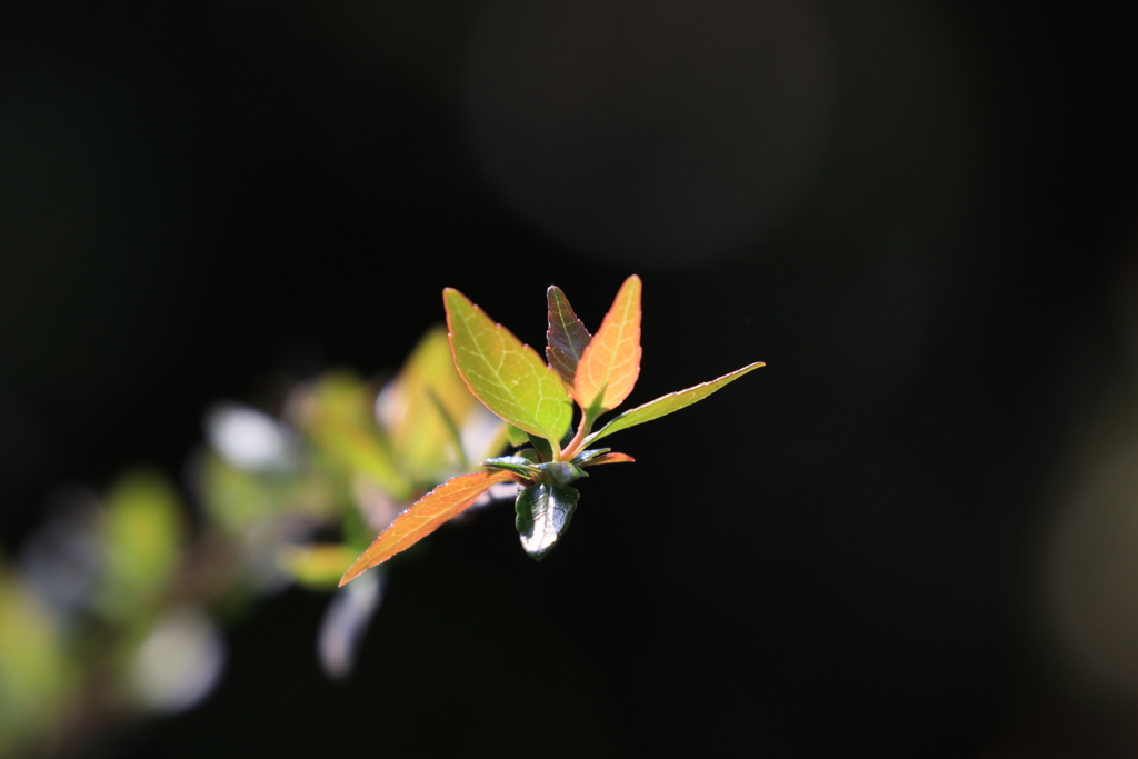 250412-085800-p