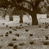 240928-094909