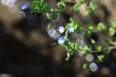 250405-095335-P