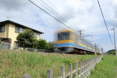 IMG_2510_P