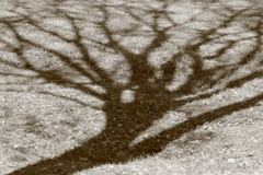 241125-094227