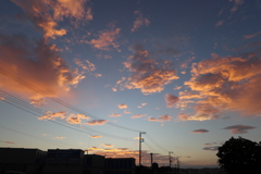 240920_2776