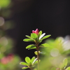 250412-090100-P