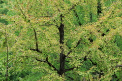 240925-105128