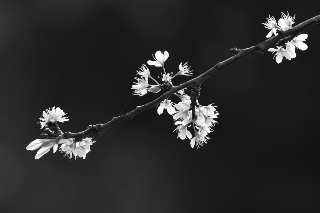 250330-084702-P