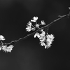 250330-084702-P