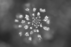 250331-092030-P