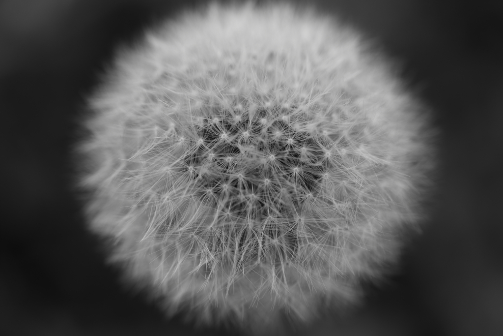 250331-092458-P