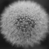 250331-092458-P