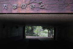 251009-095502