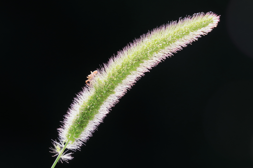 P_230803