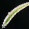 P_230803