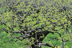 250412-101859-P